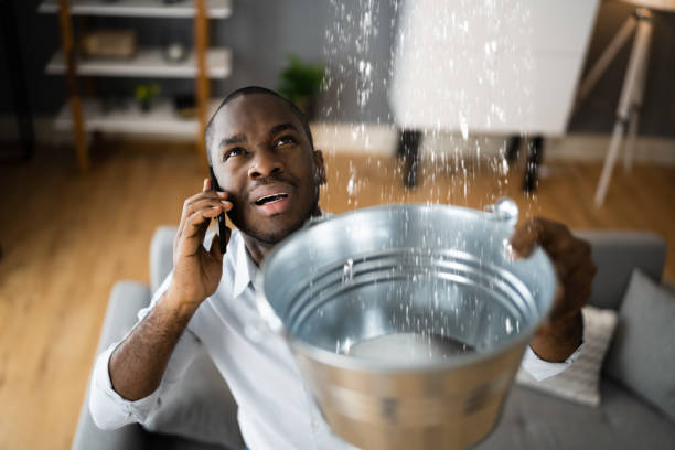 Best Basement water damage restoration  in Crystal Springs, MS