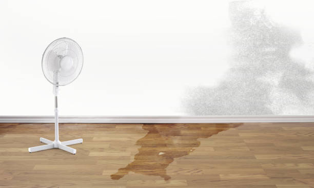 Best Commercial water damage restoration  in Crystal Springs, MS