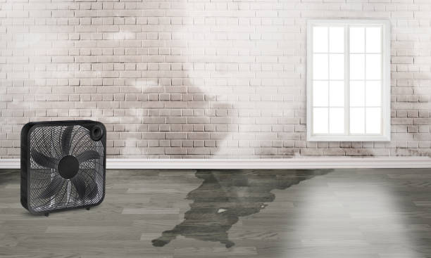Best Water damage restoration insurance claims  in Crystal Springs, MS