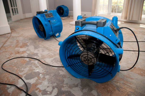 Best Sewage cleanup and water damage restoration  in Crystal Springs, MS