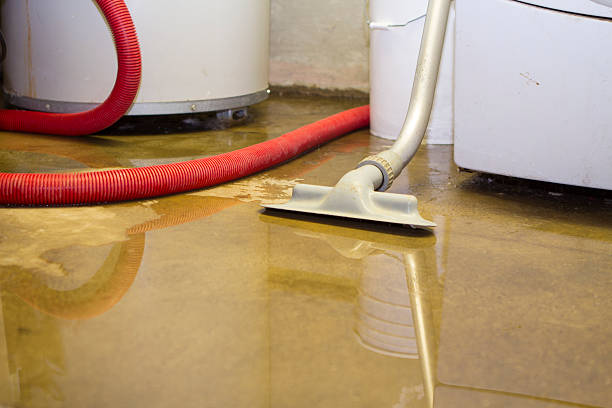 Best Water damage cleanup near me  in Crystal Springs, MS