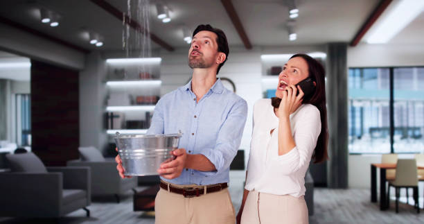 Best Carpet water damage restoration  in Crystal Springs, MS