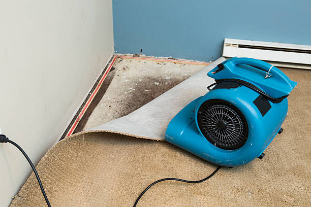 Best Fire Damage Restoration  in Crystal Springs, MS